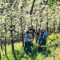 Vale Caserío e Bodega de Sidra com Transporte com Sagardoa Route