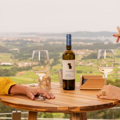 Expérience en tourisme avec visite traditionnelle de Bodegas Vionta