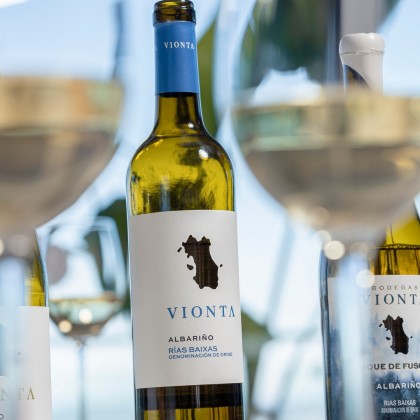 Experience Wine tourism with traditional visit to Vionta wineries