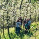 Bon Cadeau Excursion à Sidreria Vasca avec le transport avec Sagardoa Route