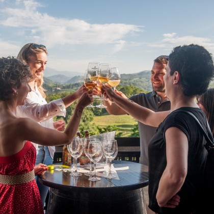 Bono Regalo Ruta de la Sidra y del Vino en la Rioja Alavesa con Sagardoa Route