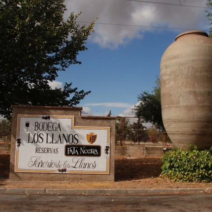 Bono Enoturismo Señorio de los Llanos a la Carta en Valdepeñas