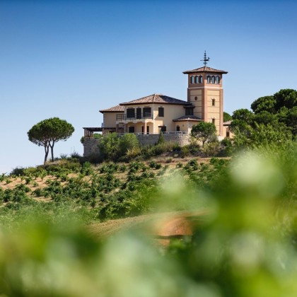 Escapade Oenologique Piedra Bodega et vignobles à Toro