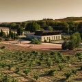 Piedra and Tapas experience in wineries