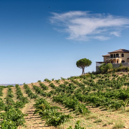 Escapadinha Enologia Piedra Bodega e Vinhedos em Toro