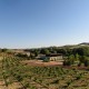 Winery and vineyards in Toro