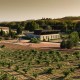 Winery and vineyards in Toro