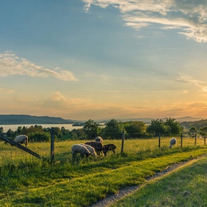 Bon Cadeau Escapade Rural avec Weekendesk