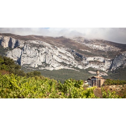 Escapada enoturística en hotel con encanto con visita a bodega y cata