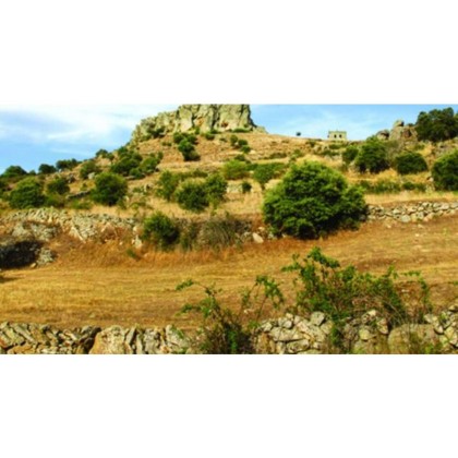 Gastronomía y cultura: Escapada con cena típica zamorana y cava junto al Castillo de Peñausende