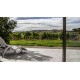 Relaxation among vineyards in a 4* hotel with access to the spa circuit