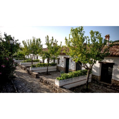 Escapada en familia con detalle de bienvenida y salida tardía entre Ronda y Sierra Grazalema