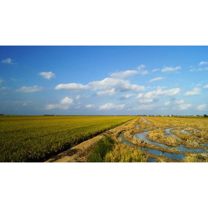 Week-end avec dîner dans le delta de l’Èbre