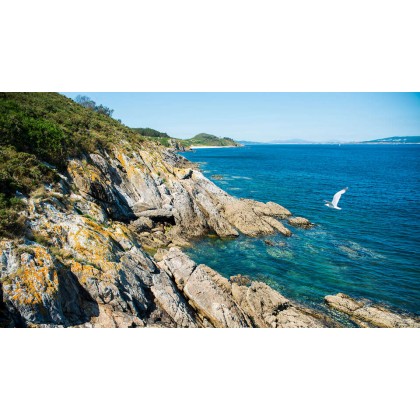 Disfruta de las playas de Sanxenxo y da un paseo en barco a las Islas Cíes