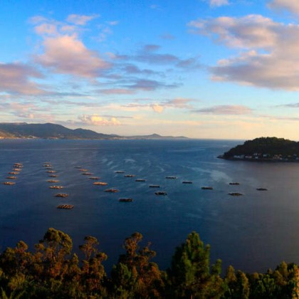 ¡Especial súper Relax! acceso al spa y Tratamiento a elegir a 200 metros de la Isla de la Toja