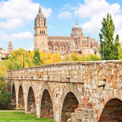 Experience Salamanca with tickets to the Cathedral and Casa Lis Museum (from 2 nights)