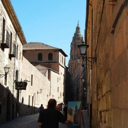 Experimente Salamanca com bilhetes para a Catedral e o Museu Casa Lis (a partir de 2 noites)