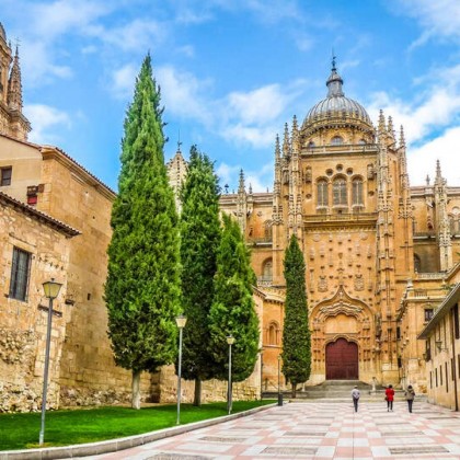 Experimente Salamanca com bilhetes para a Catedral e o Museu Casa Lis (a partir de 2 noites)