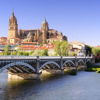 Experimente Salamanca com bilhetes para a Catedral e o Museu Casa Lis (a partir de 2 noites)