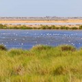 Escapada con encanto cerca del Parque Natural de Doñana