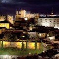 Dîner dégustation dans le centre de Cáceres