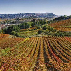 Escapada con cata VIP en bodega Marqués de Cáceres