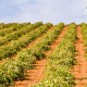 Charmante escapade dans une maison du XVIe siècle près de Ciudad Real