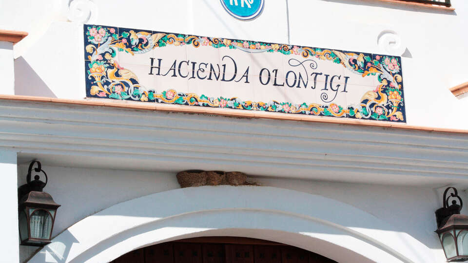 Hacienda Olontigi