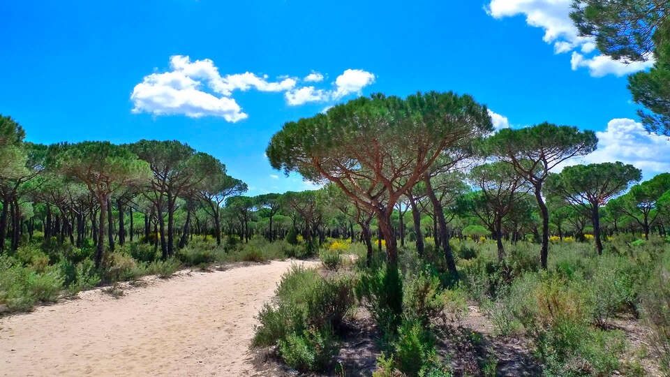 Hacienda Olontigi