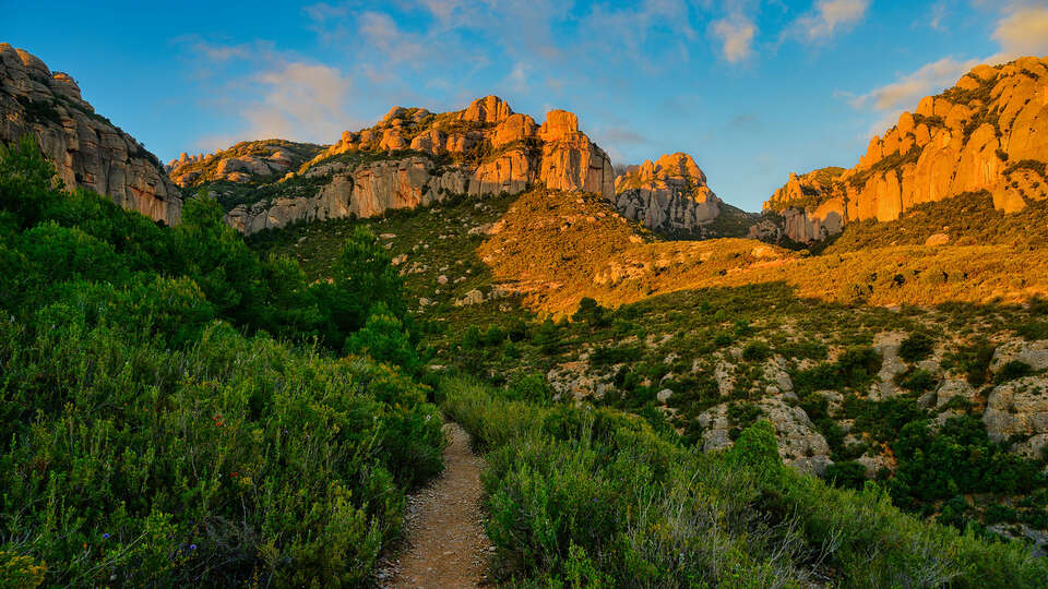 Checkin Montserrat